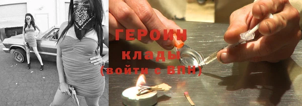 гидра Богородск