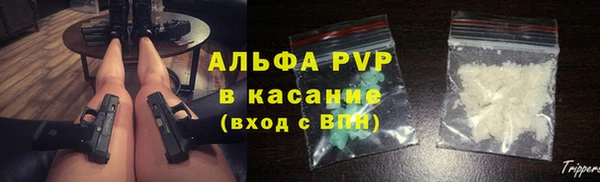 гидра Богородск