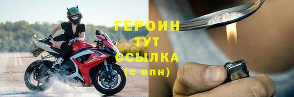 гидра Богородск