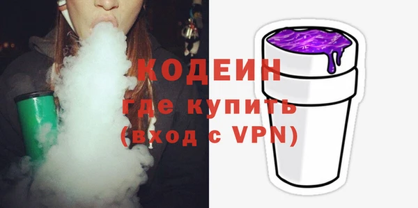 гидра Богородск