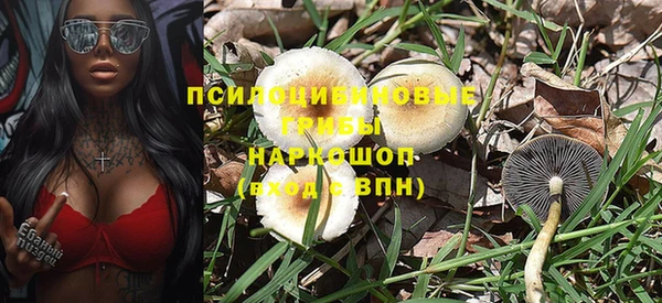 гидра Богородск