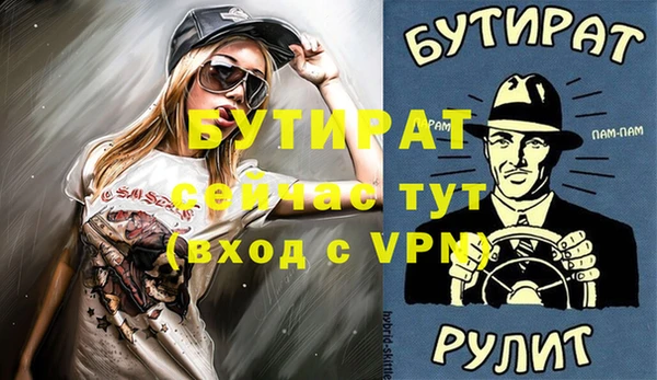 гидра Богородск