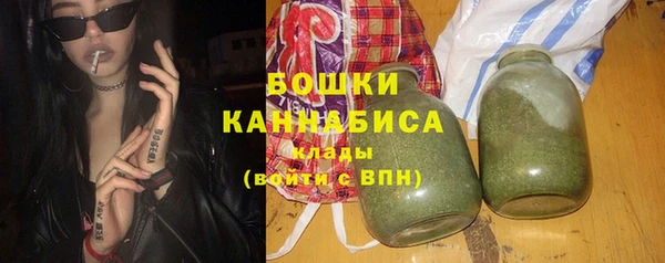 гидра Богородск